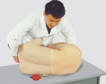 腰椎穿刺训练模型 腰椎穿刺训练模型